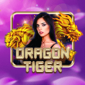 Dragon Tiger bingoplus reddit casino